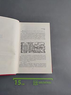 Рассказы