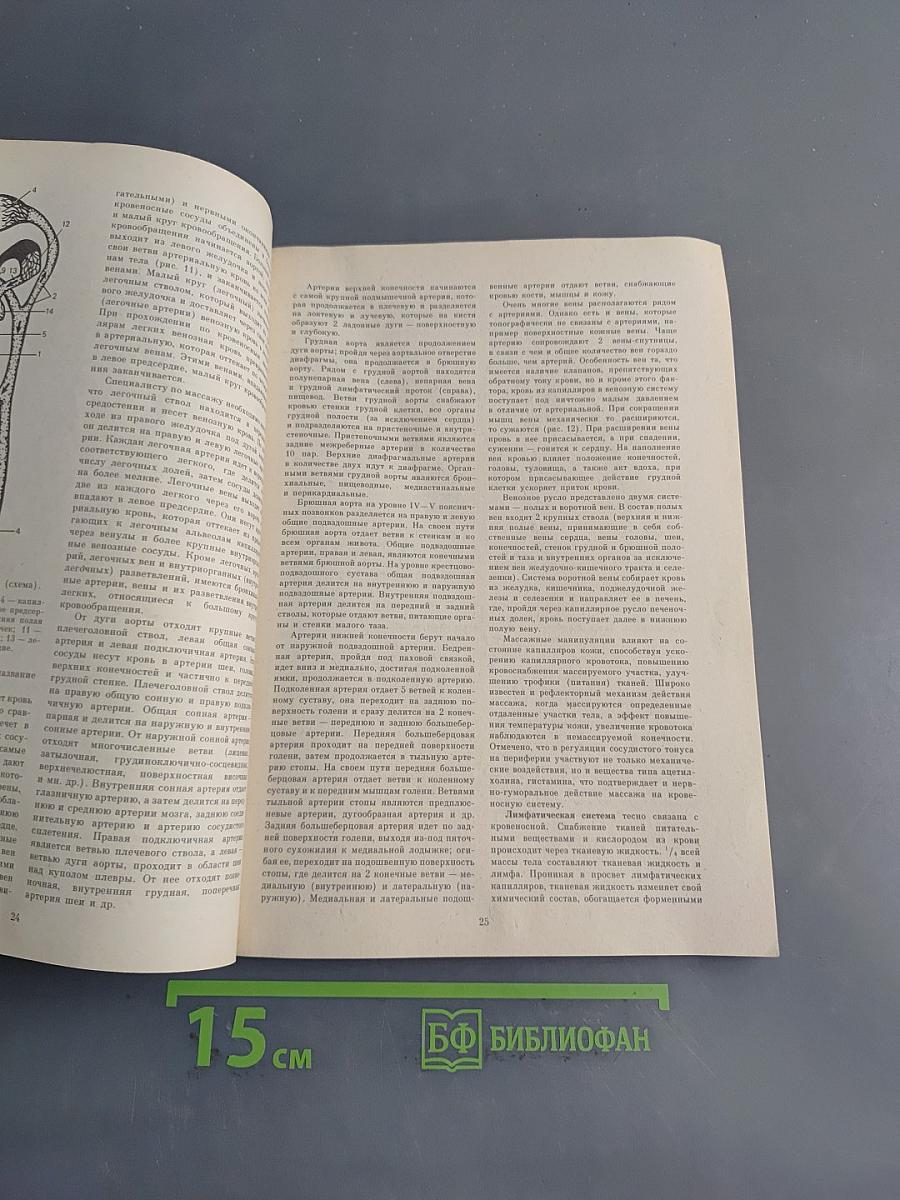 Справочник по массажу
