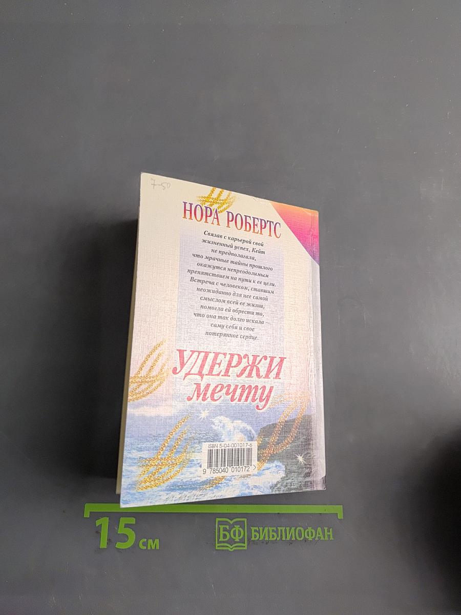 Удержи мечту