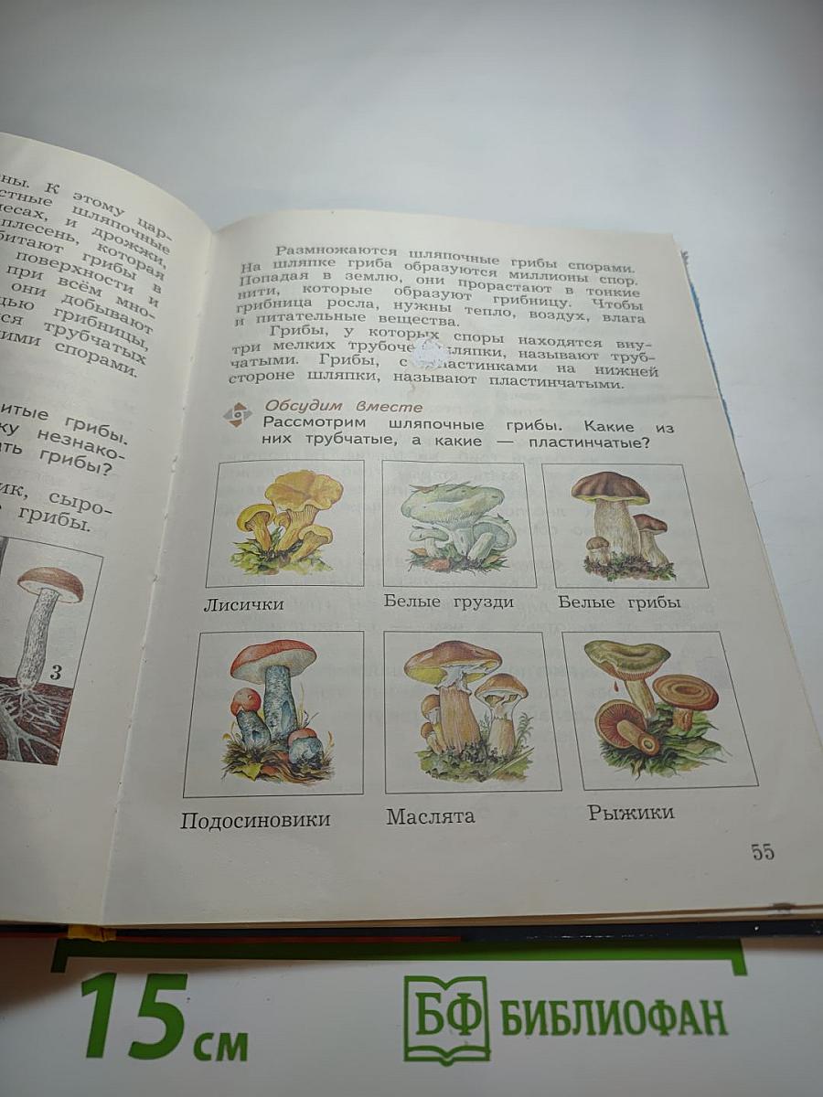 Окружающий мир 3 класс. Часть первая