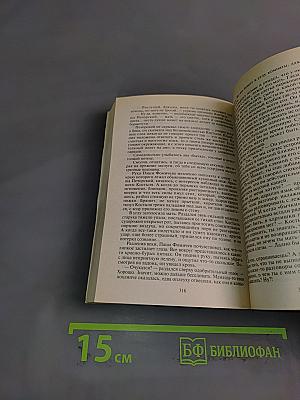 Я-вор в законе. Казначей обыска