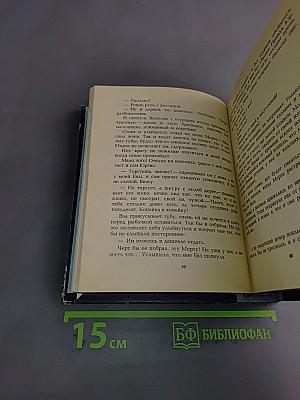 Спор тихим утром