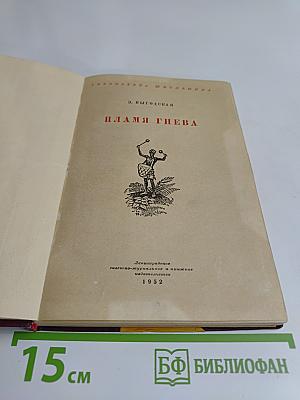 Пламя гнева