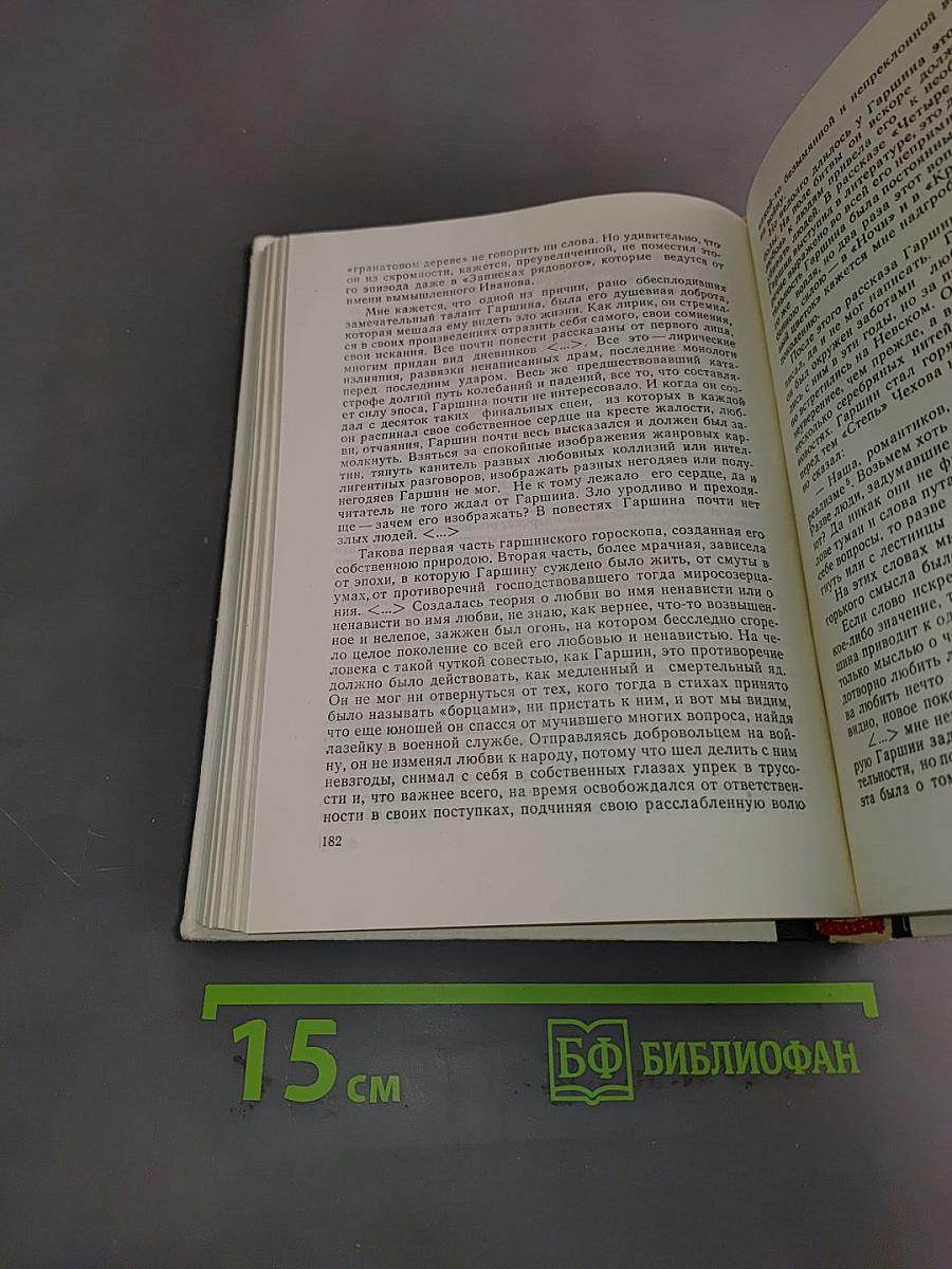 Современники о В. М. Гаршине
