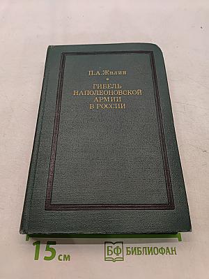 Гибель наполеоновской армии в России