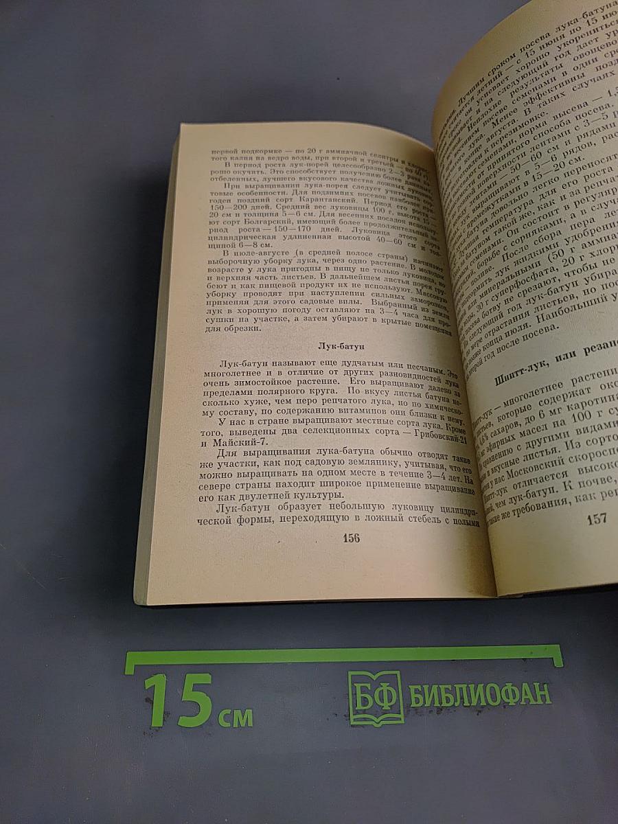 Домашний огород