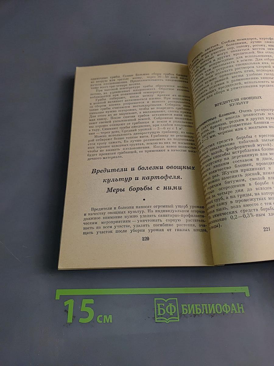Домашний огород