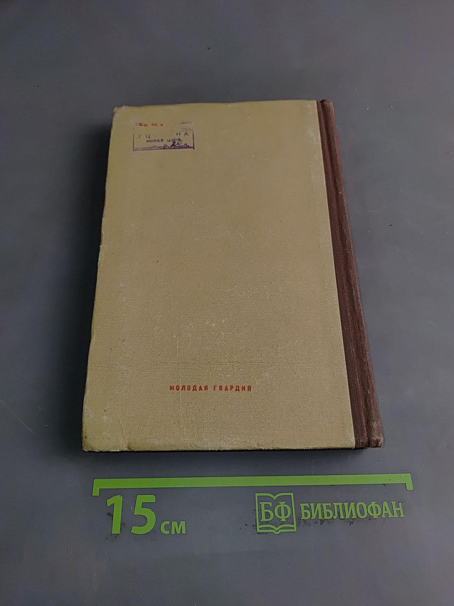 М. В. Фрунзе