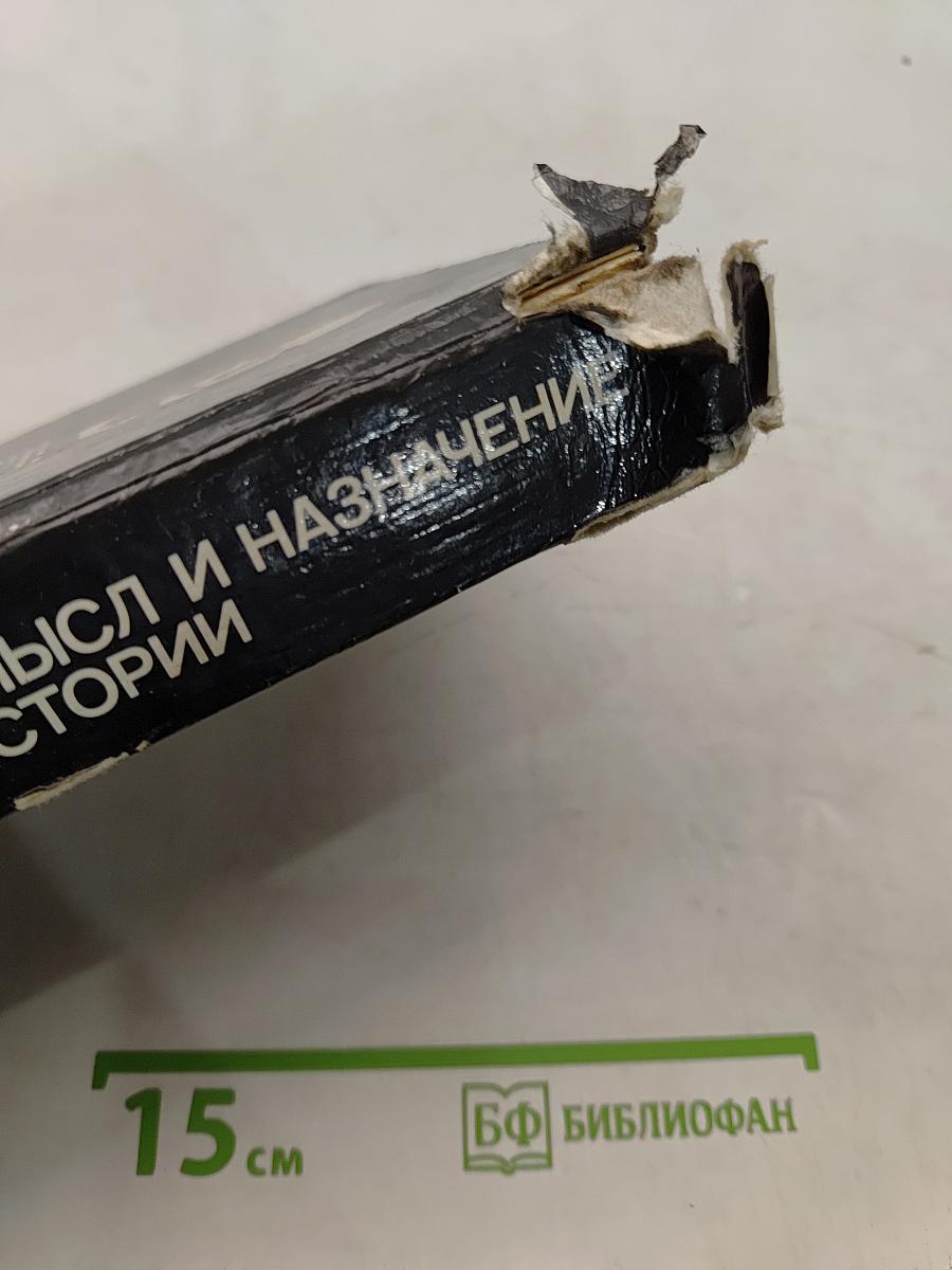 Смысл и назначение истории