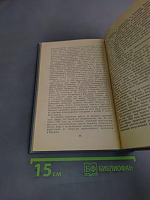 Я нашёл подлинную родину. Записки немецкого генерала