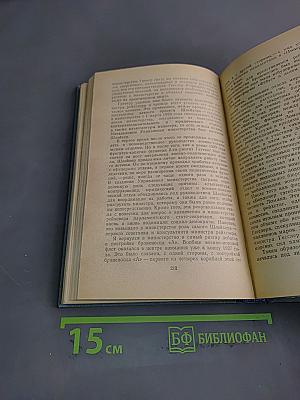 Я нашёл подлинную родину. Записки немецкого генерала