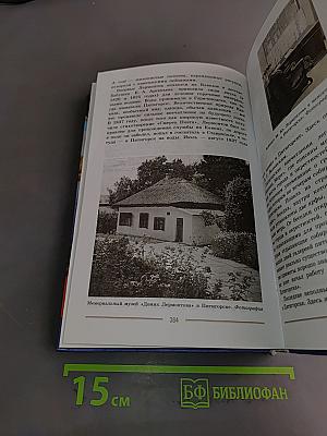 Литература. 9 класс. Часть 2