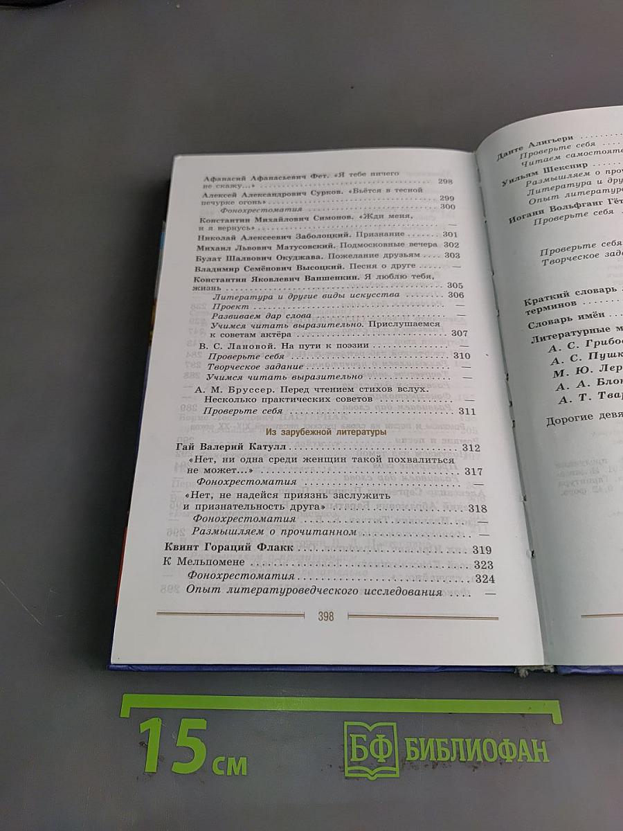 Литература. 9 класс. Часть 2