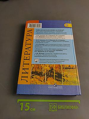 Литература. 9 класс. Часть 2