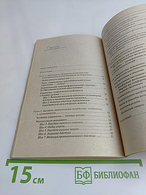 Влияние. Система дальнейшего энергоинформационного развития. III ступень