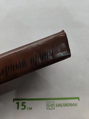 Черный принц