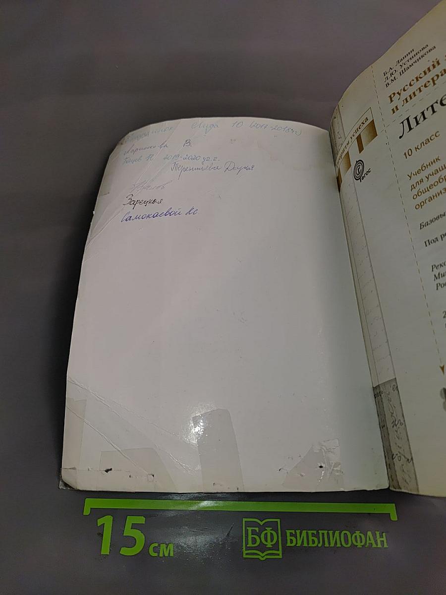 Литература 10 класс