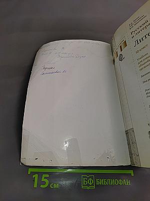 Литература 10 класс