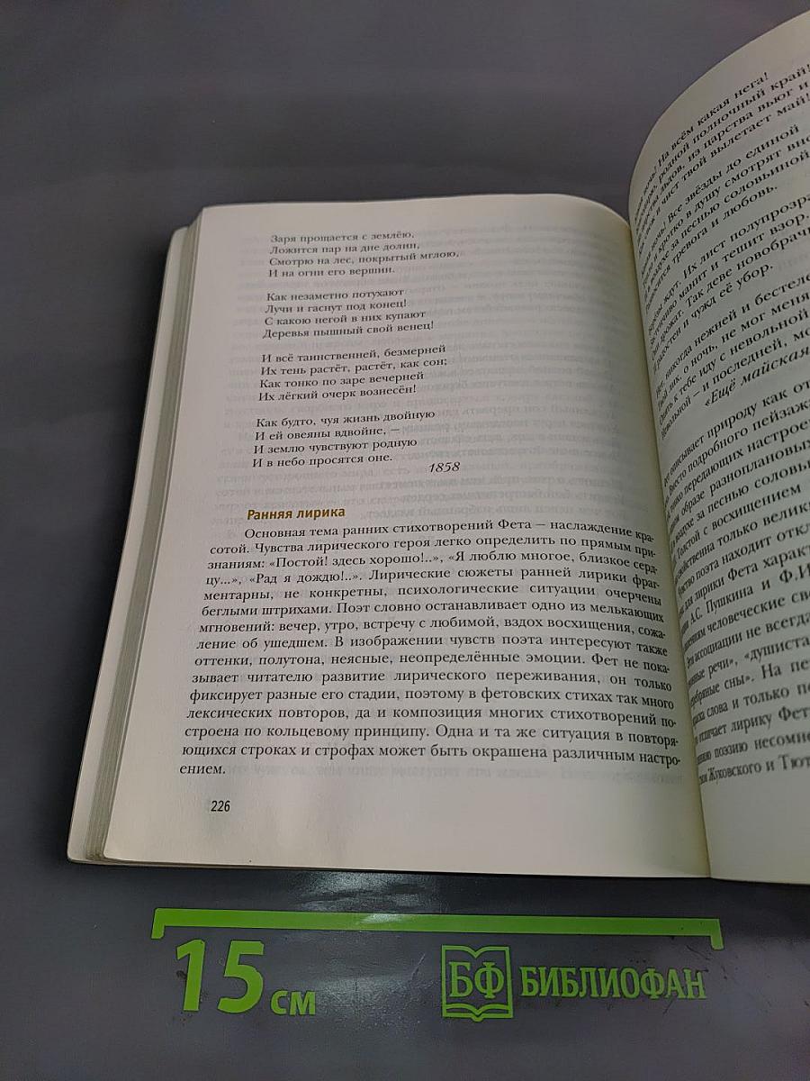 Литература 10 класс