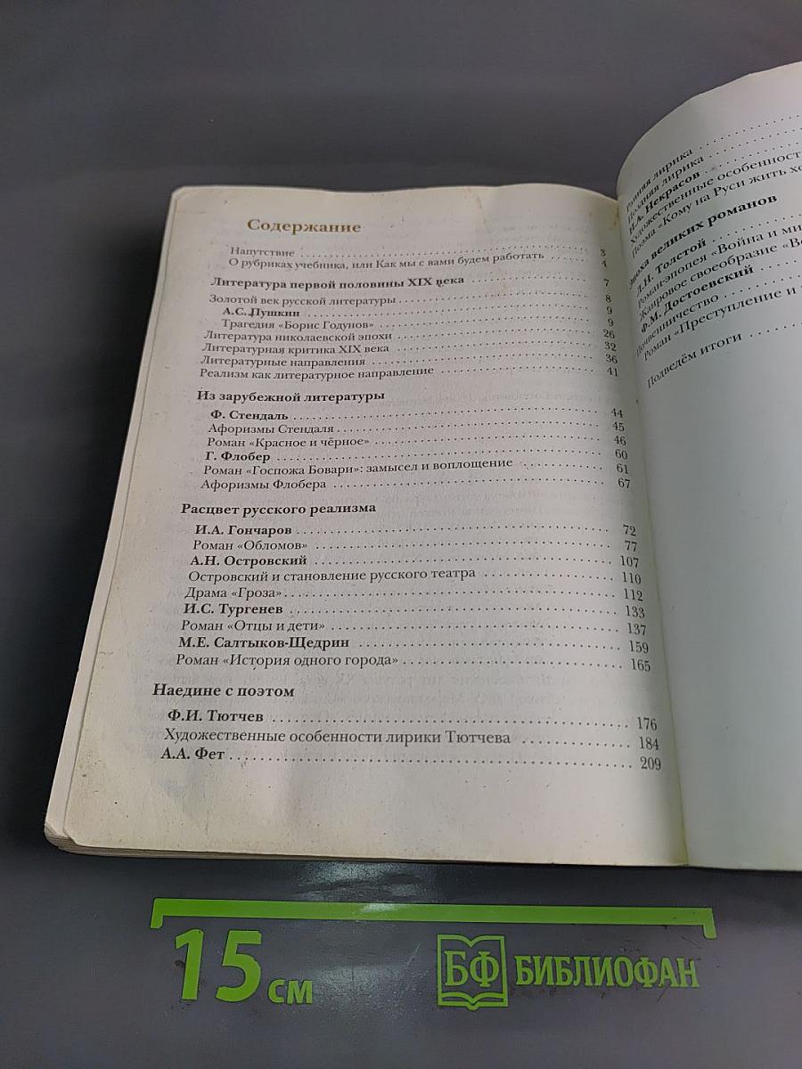 Литература 10 класс