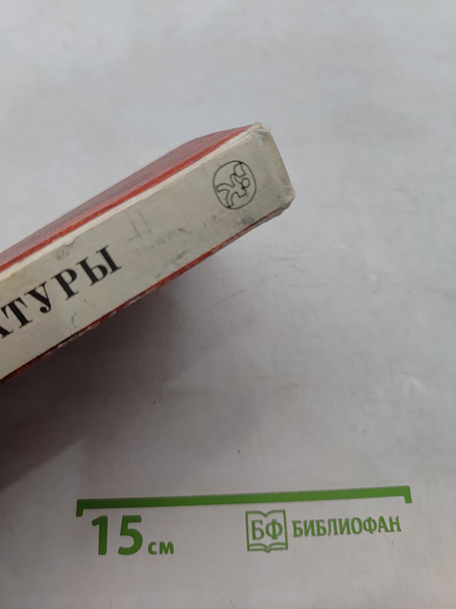 В мире русской литературы. Книга для внеклассного чтения. 4 класс