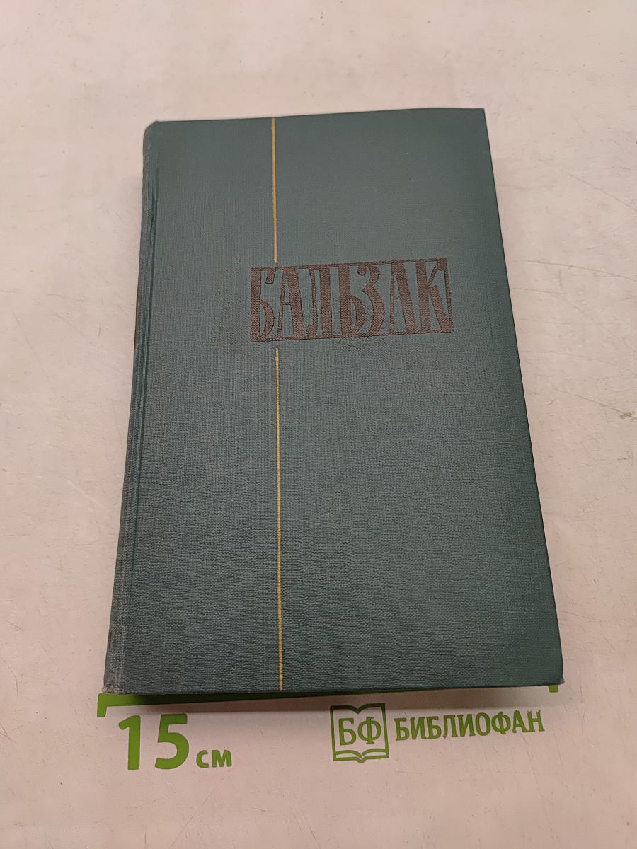 Человеческая комедия. Собрание сочинений в 24 томах. Том 13
