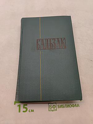 Человеческая комедия. Собрание сочинений в 24 томах. Том 13