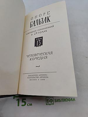Человеческая комедия. Собрание сочинений в 24 томах. Том 13