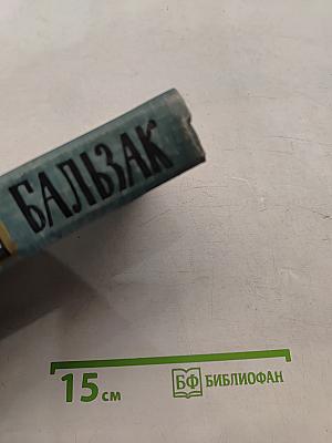 Человеческая комедия. Собрание сочинений в 24 томах. Том 13