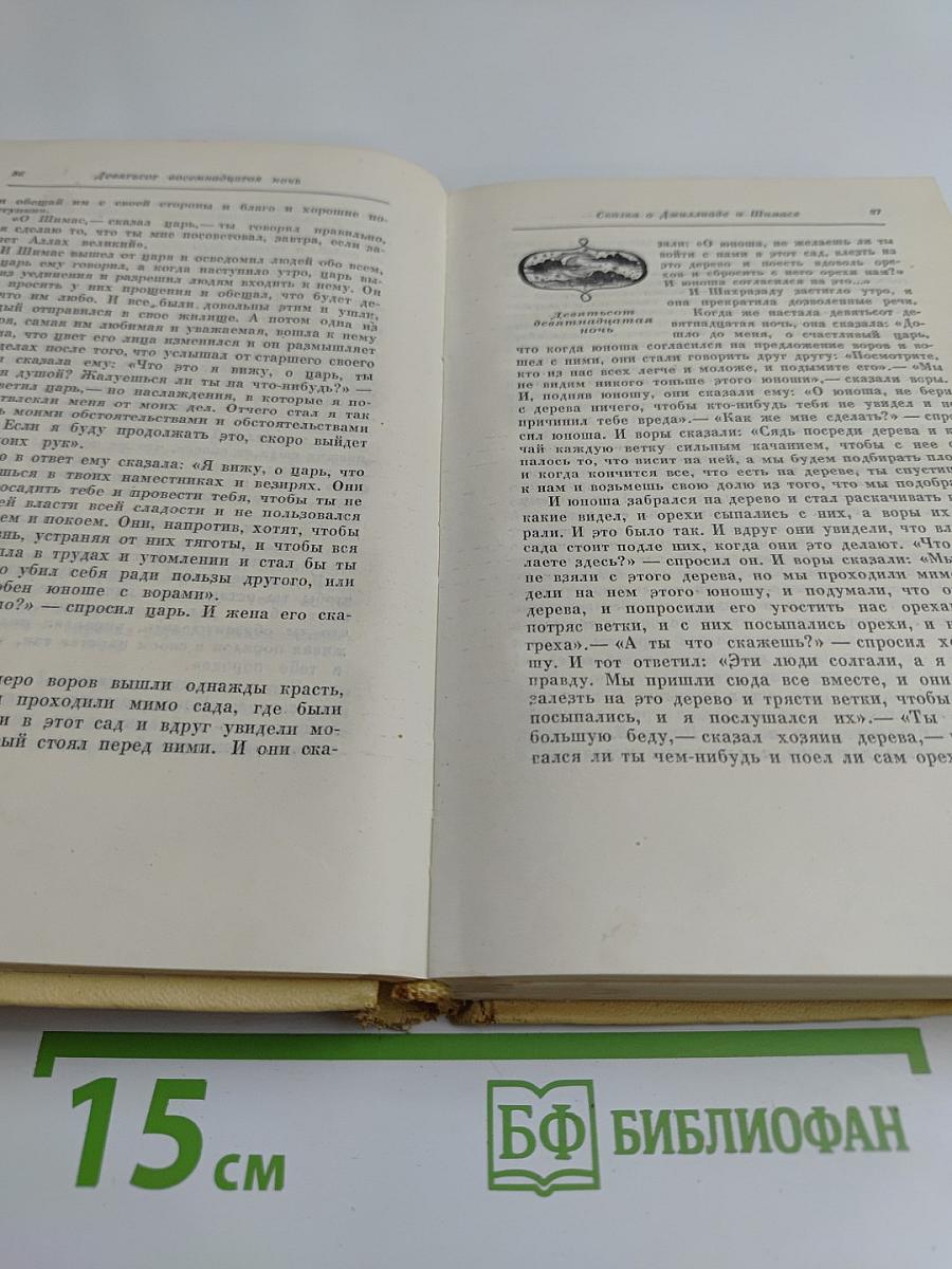 Книга тысячи и одной ночи