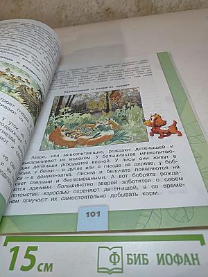 Окружающий мир 3 класс Часть 1