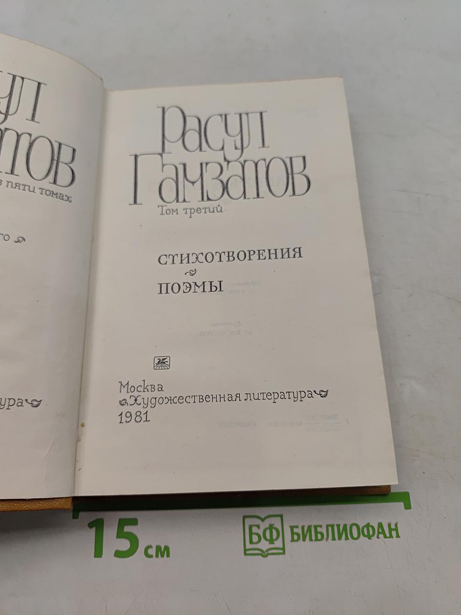 Стихотворения и поэмы. Том третий