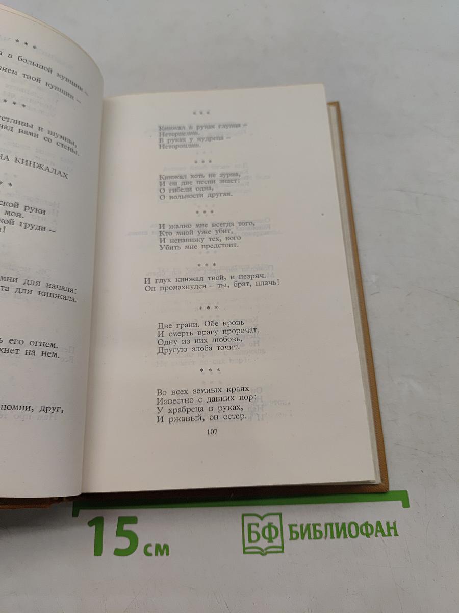 Стихотворения и поэмы. Том третий