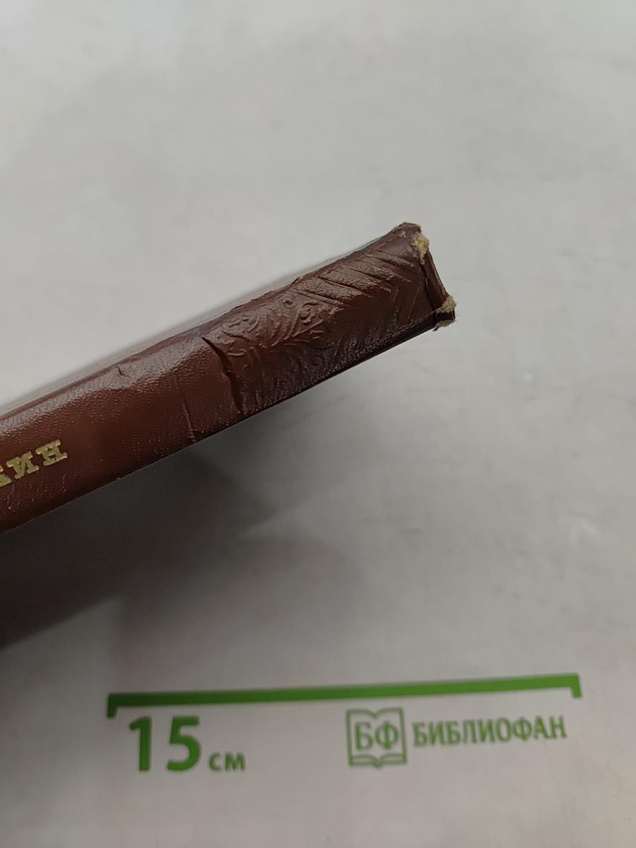Стихотворения. Поэмы