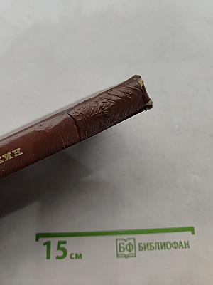 Стихотворения. Поэмы