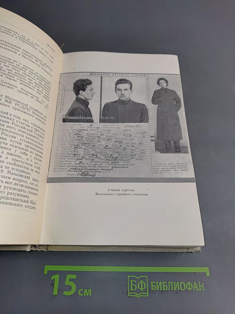 Маяковский. Литературная хроника