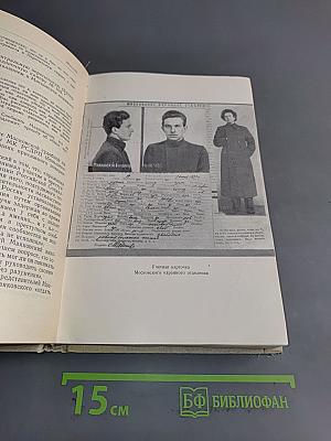 Маяковский. Литературная хроника