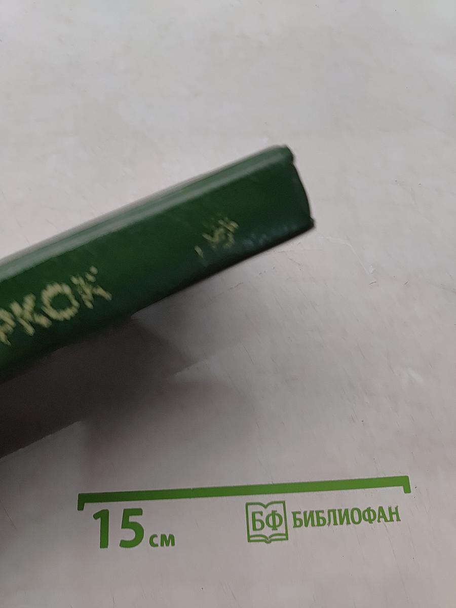 Город Зверя. Хроника Кейна