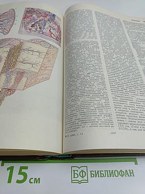 Большая медицинская энциклопедия. Том 12. Криохирургия — Лененгр