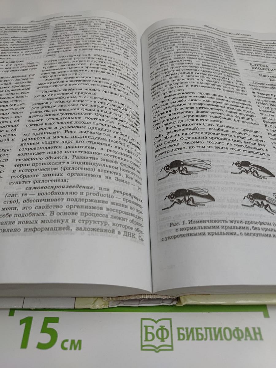 Большой справочник школьника 5-11 классы