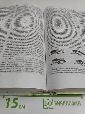 Большой справочник школьника 5-11 классы
