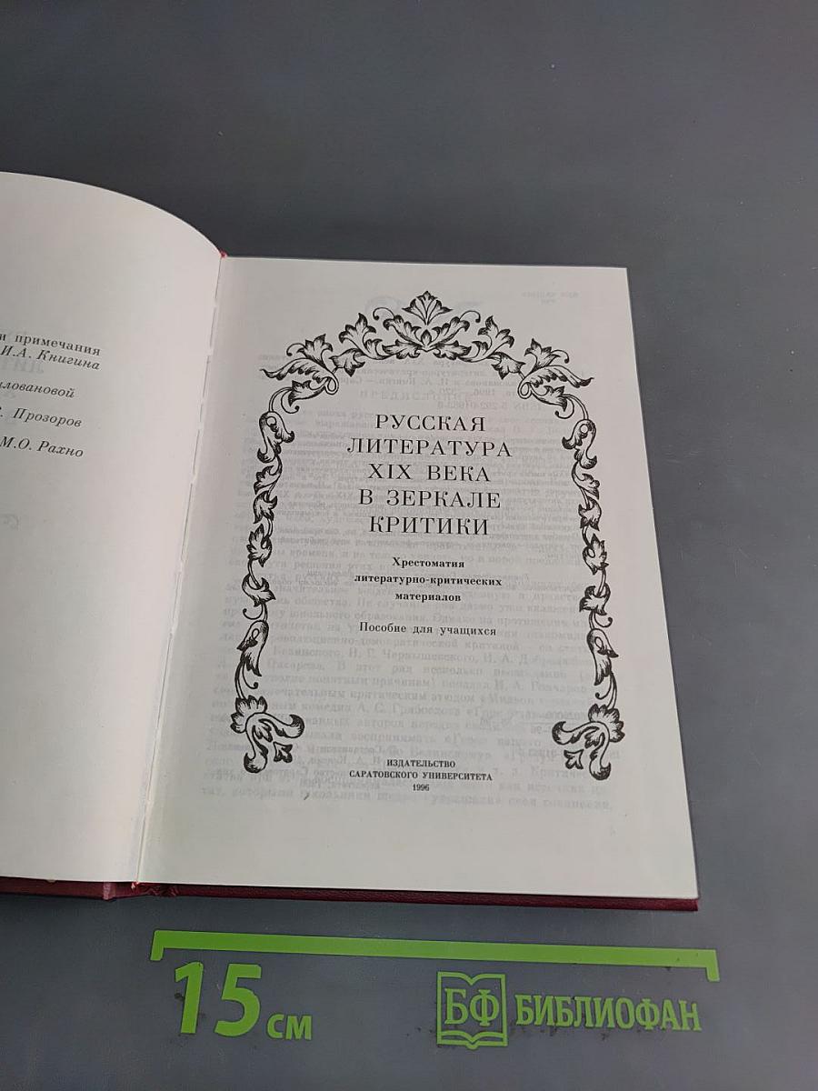 Русская литература XIX века в зеркале критики