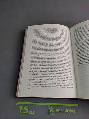 Русская литература XIX века в зеркале критики