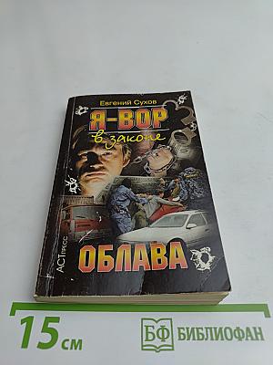 Я-вор в законе. Облава