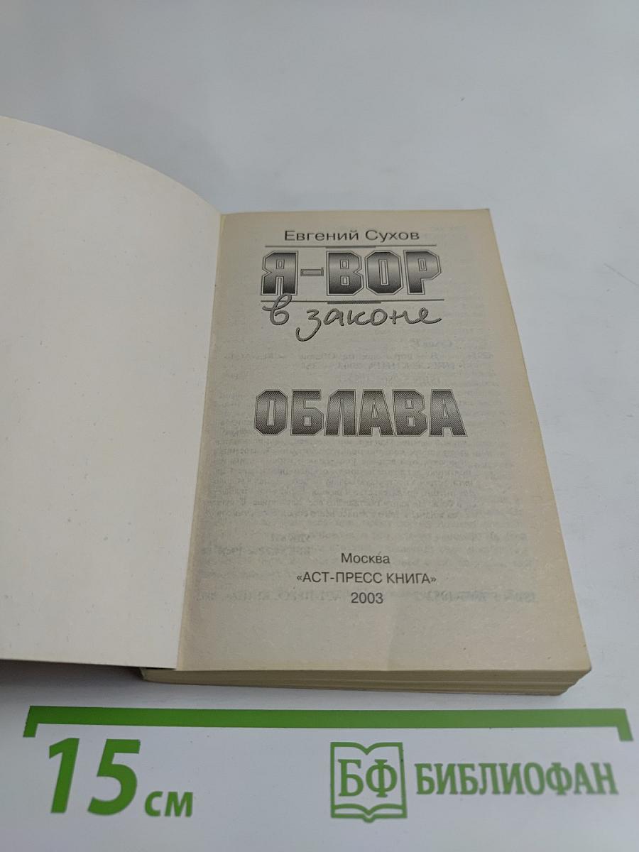 Я-вор в законе. Облава