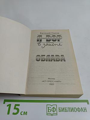 Я-вор в законе. Облава