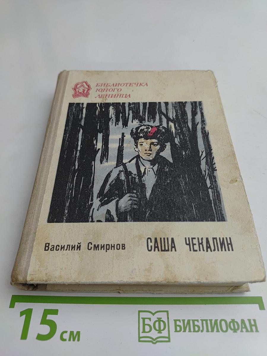 Саша Чекалин. Повесть