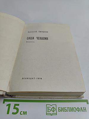 Саша Чекалин. Повесть