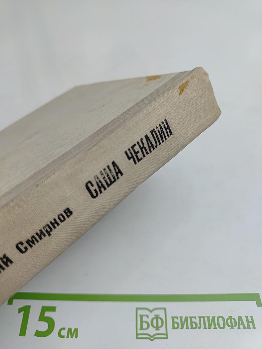 Саша Чекалин. Повесть