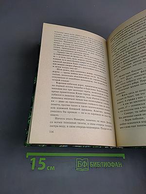 Дочь некроманта. Вернуть посох